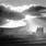 Cement Works, Shap