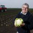 commercial Photographer, cauliflower harvest, farming, farmer portrait, UK